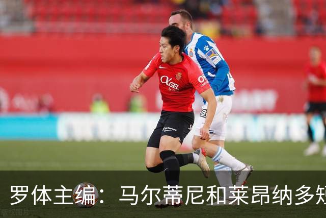 罗体主编：马尔蒂尼和莱昂纳多短短几天就犯下一系列惊人错误